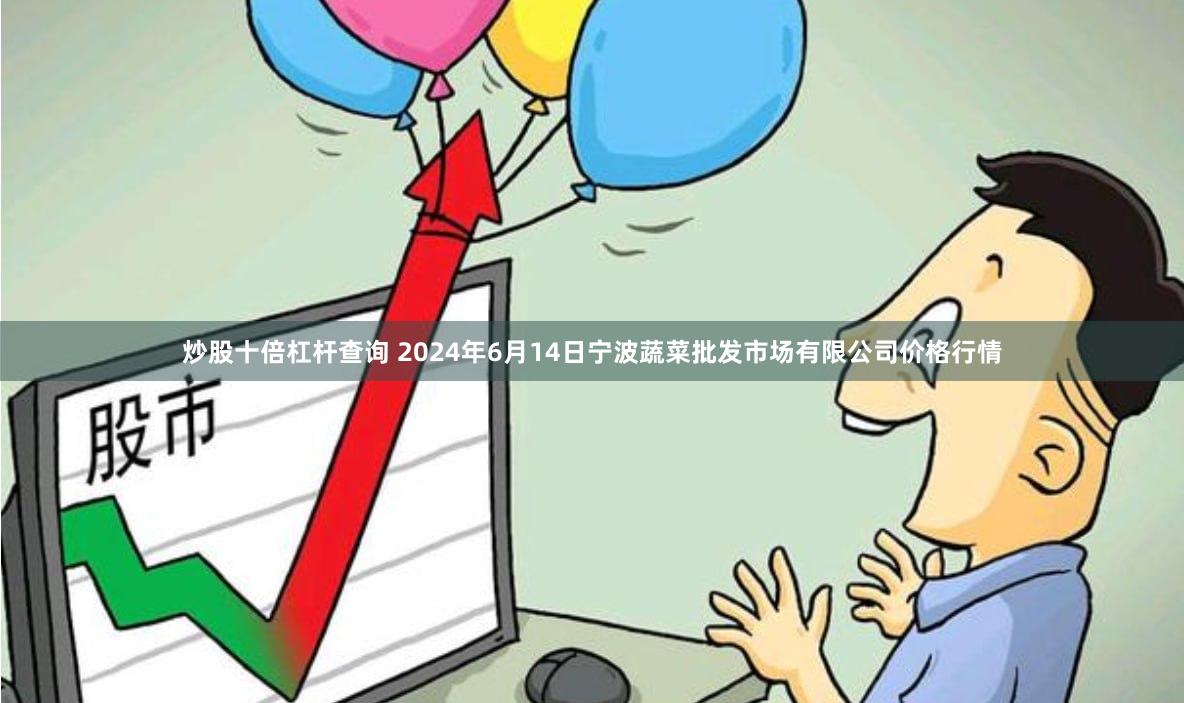 炒股十倍杠杆查询 2024年6月14日宁波蔬菜批发市场有限公司价格行情