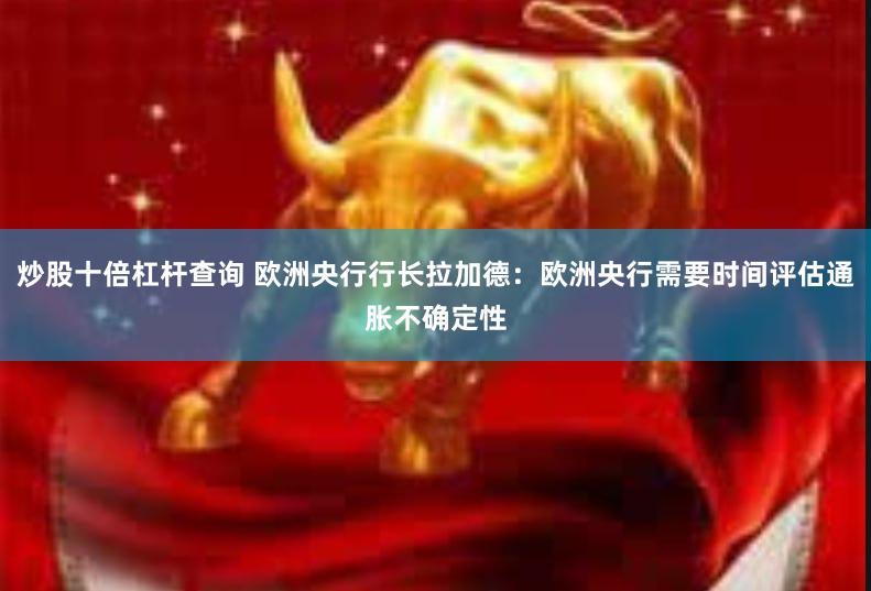 炒股十倍杠杆查询 欧洲央行行长拉加德：欧洲央行需要时间评估通胀不确定性