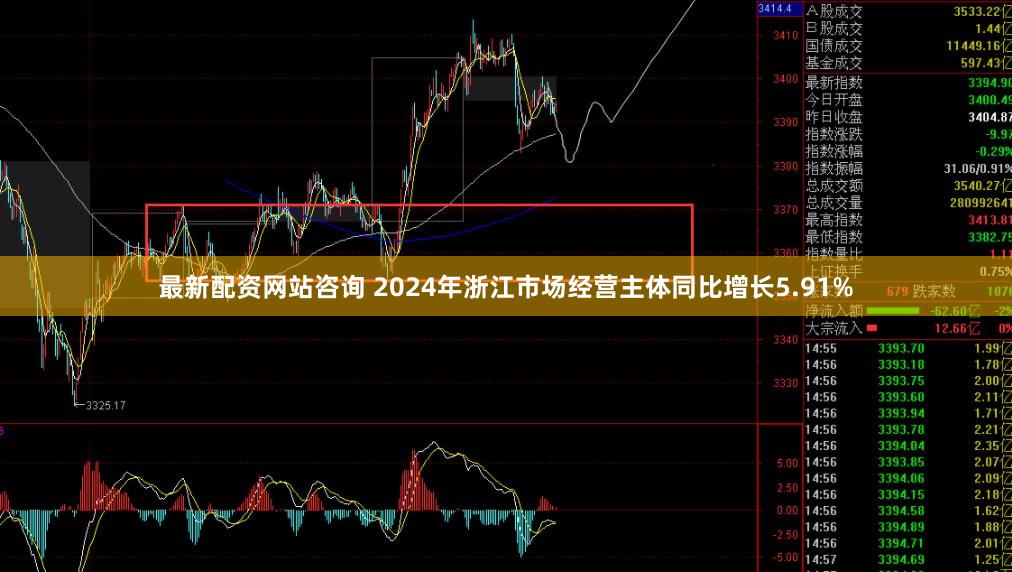 最新配资网站咨询 2024年浙江市场经营主体同比增长5.91%